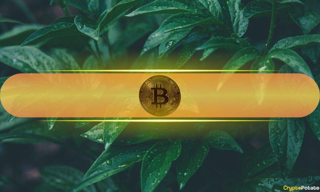 Bitcoin Poised for Short-Term Rally as Price Dips Below $101K Miner Cost, Says Analyst
