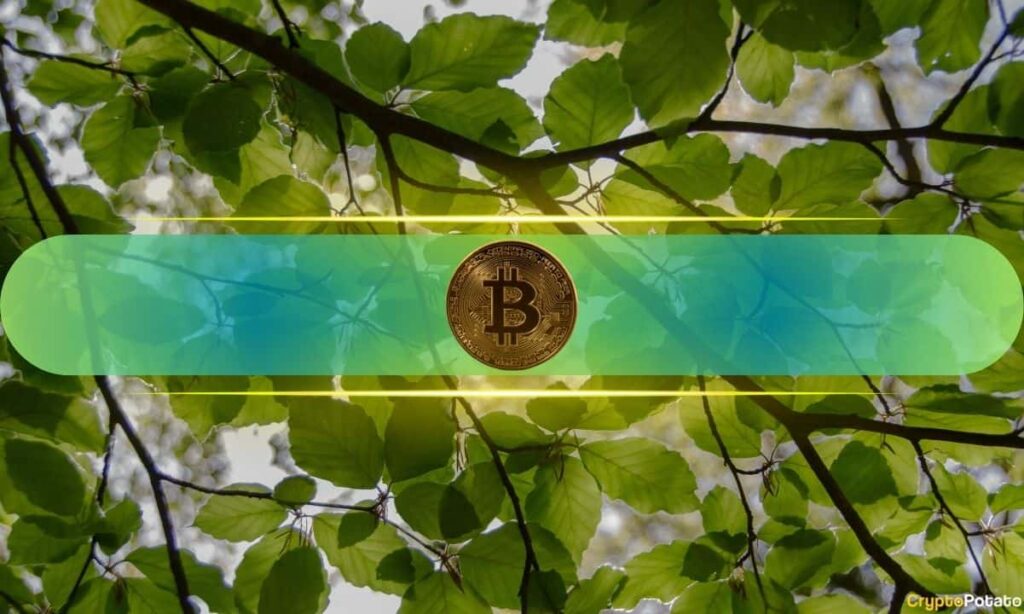 BSC Fees Hit Multi-Month Lows as History Signals Bitcoin Rebound Ahead