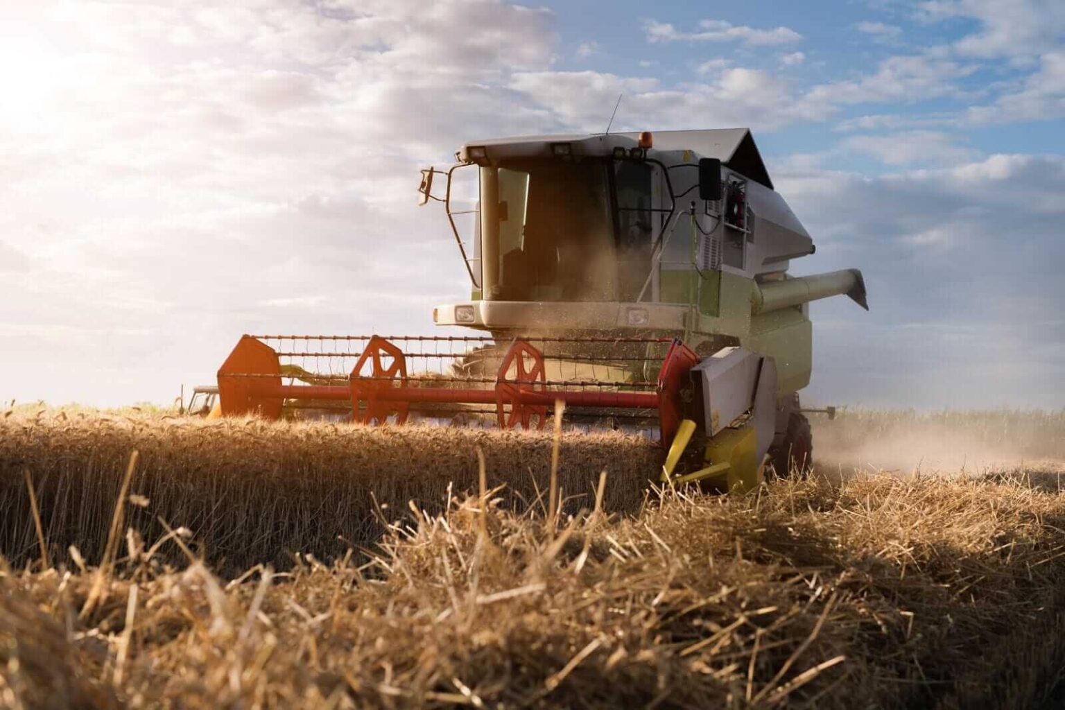 Wheat Leads the Grain Rally on Friday