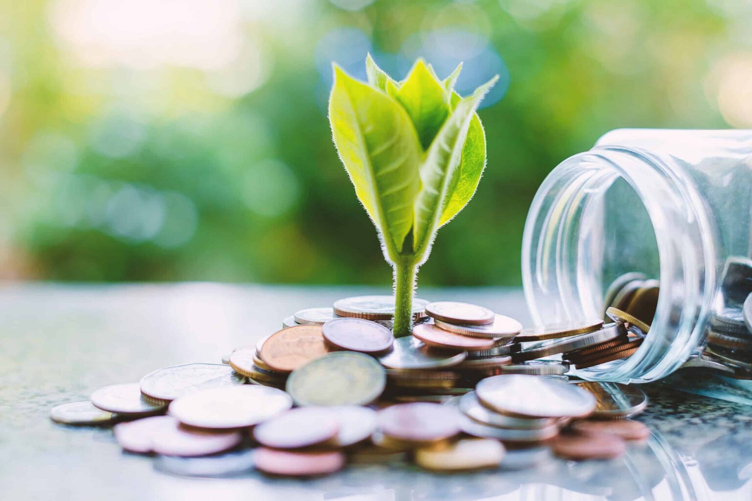 2 Growth Stocks Down 6% to 9% to Buy Now