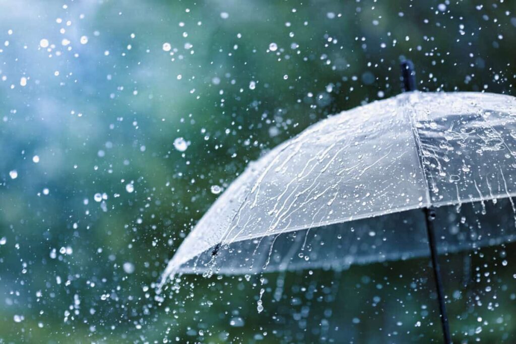 3 All-Weather Stocks Canadians Can Confidently Buy Today