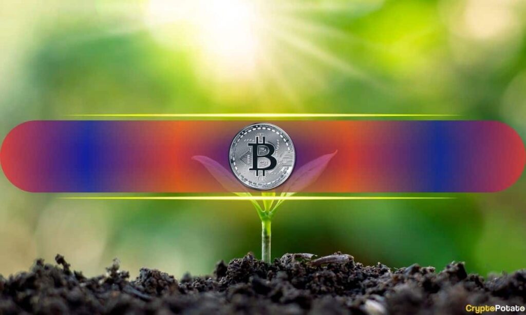5 Key On-Chain Signals to Watch With Bitcoin at Fair Value