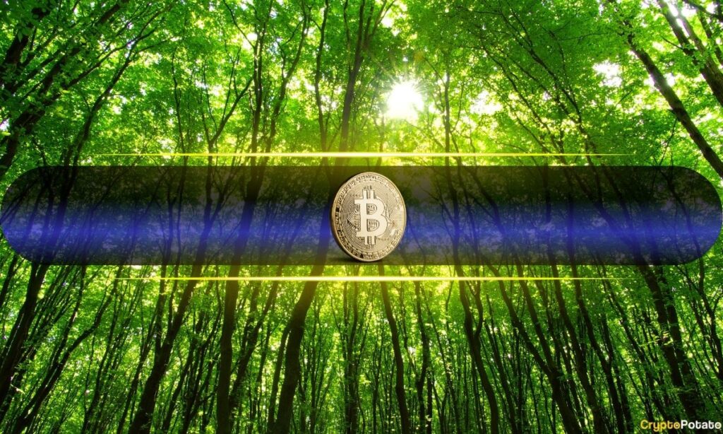 Bitcoin Surges to Six-Week High as Bulls Eye $80K
