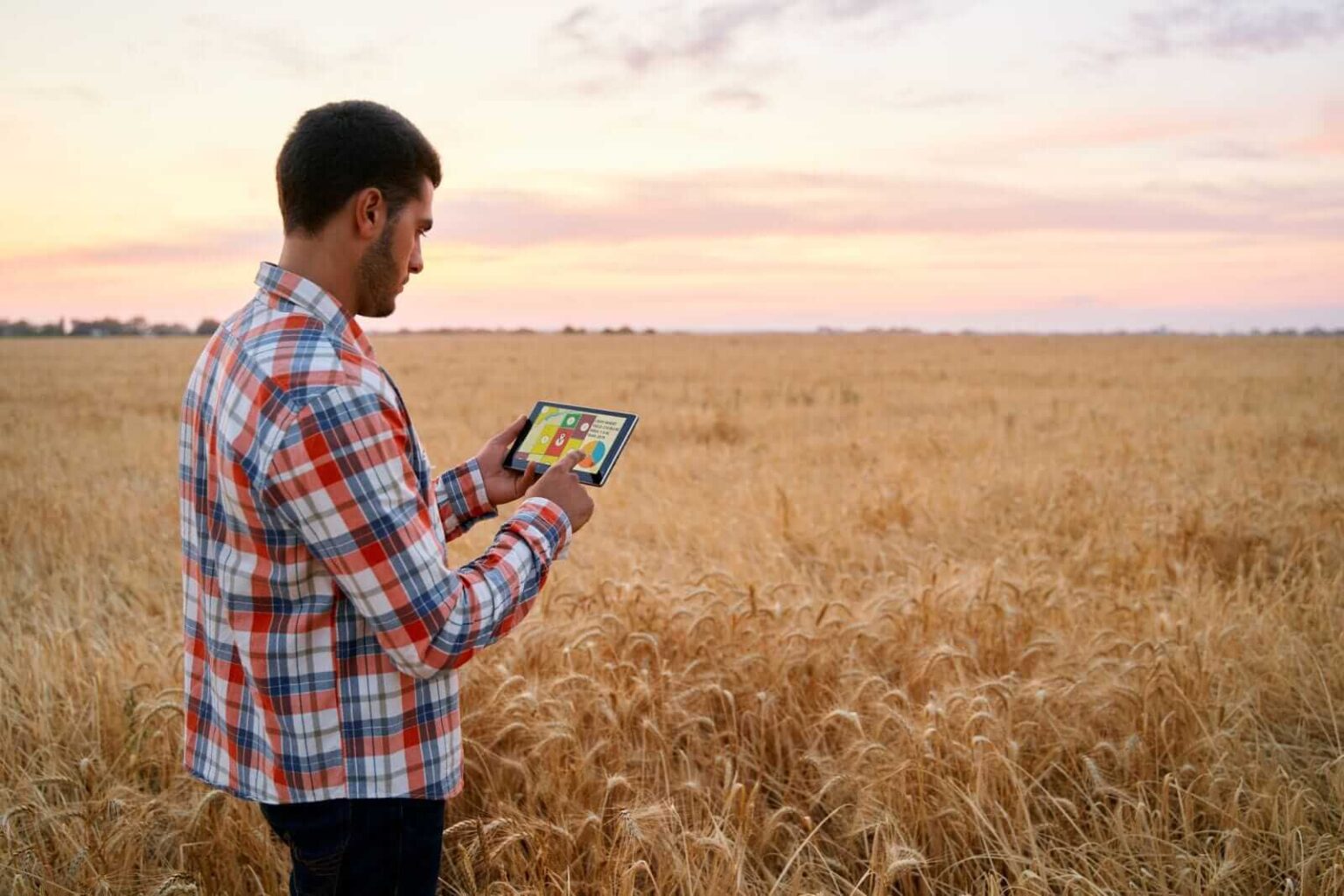 Wheat Rally Continues on Friday Wheat Rally Continues on Friday