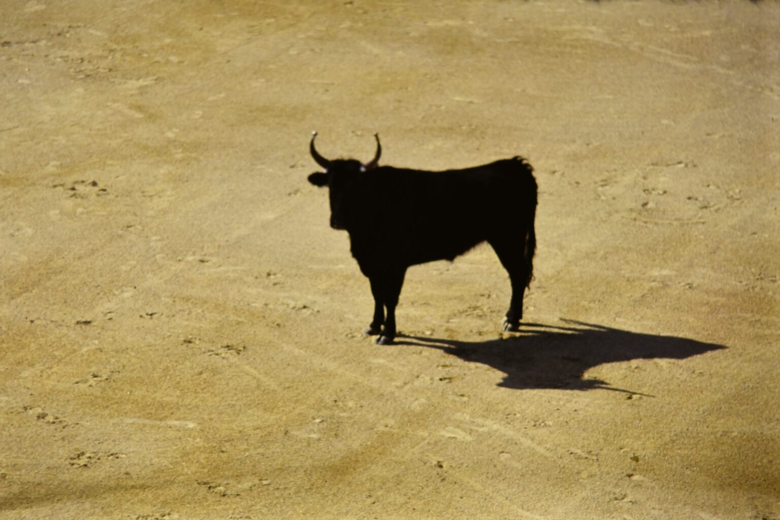 Bitcoin Liquidity Rotation Turns Bullish Again As Stablecoin Shelter Starts To Unwind Bitcoin