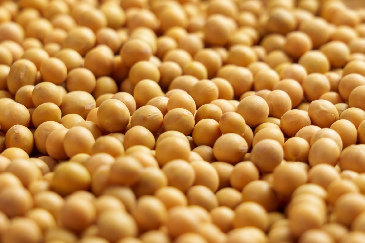 Soybeans Pushing Correction to Midday