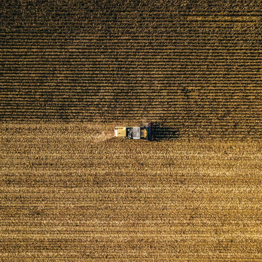 Wheat Holding onto Monday Gains